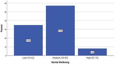 Assessment of <mark class="highlighted">mental wellbeing</mark> of undergraduate pharmacy students from 14 countries: The role of gender, lifestyle, health-related, and academic-related factors